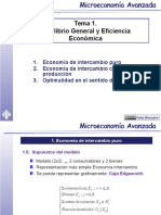 MICROECONOMÍA - EquilibrioGeneral