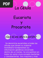 Celulas Eucariotas y Procarotas