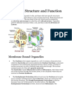 Organelle Structure and Function