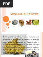 Exposicion Elementos Nativos