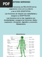 Clase 10 Sistema Regulador Nervioso