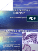 Curs 2 Patologia Aparatului Respirator I