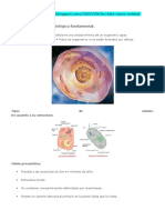 La Célula Como Unidad Biológica Fundamental