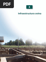 Infraestructura Ovina PDF