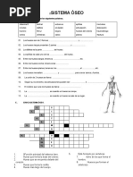Sistema Óseo