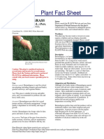 Plant Fact Sheet: Bermudagrass