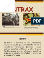 Antrax