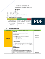 Sesión de Aprendizaje de La Cultura Paracas