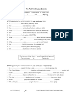 The Past Continuous Exercise