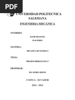 Informe Presion Hidrostatica