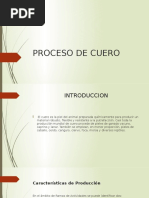 Proceso de Cuero Carlos A Sanchez