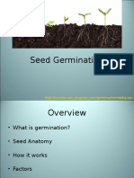 Seed Germination