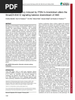 Endocytic Deficiency Induced by ITSN-1s Knockdown Alters The Smad2/3-Erk1/2 Signaling Balance Downstream of Alk5