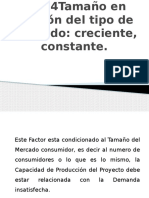 3,4 Tamaño en Función Del Tipo de Mercado