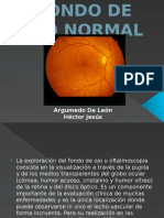 Reporte de Fondo de Ojo