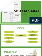 Sistem Saraf