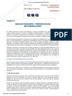 Análisis Financiero y Preparación de Recomendaciones Fao