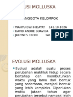 Evolusi Moluska