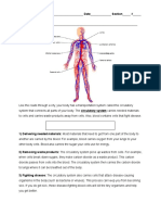 Circulation Worksheet