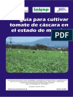 Cultivo de Tomatillo PDF