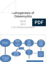 Pathogenesis of Osteomylitis: Fkuki 2013 C.dr. Muhammad Kahf