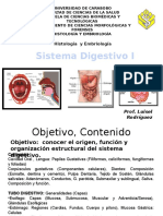 Clase 1 Hitologia Sistema Digestivo 2016