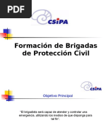 Formacion de Brigadas