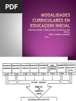 Modalidades Curriculares en Educacion Inicial Ultimo