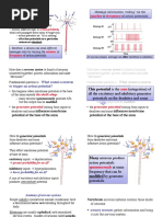 12 Nervous Systems