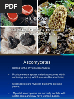 BIOL 2265-The Ascomycetes