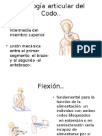 Fisiología Articular Del Codo