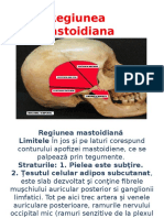 Regiunea Mastoidiana