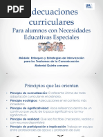 Adecuaciones Curriculares PDF