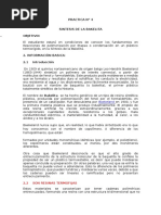 Cuestionario 4.docx-Formacion de Baquelita