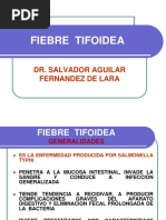 Fiebre Tifoidea