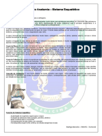 Roteiro de Estudo Anatomia - Sistema Esquelético PDF