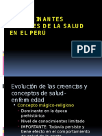 Determinantes Sociales de La Salud en El Perú