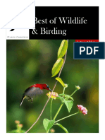 Best of Wildlife & Birding: India and Bhutan