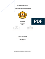 Metabolisme Dextromethorphan