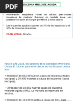 Leucemia Mieloide Aguda 