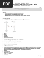 Prueba de Las Neuronas