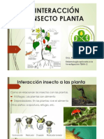 (106747) Insecto Planta Insecto Insecto