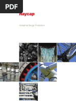 Raycap Industrial Brochure