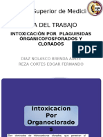 Intoxicacion Por Organoclorados