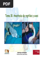 Anestesia de Reptiles y Aves