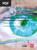 Planificación, Elaboración de Presupuestos y Forecasting