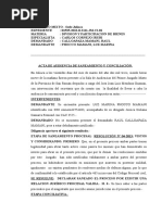 Audiencia de Saneamiento y Conciliacion