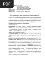 Acta de Audiencia de Actuacion y Declaracion Judicial