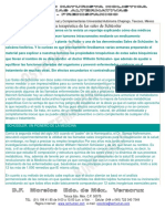 Taller Kinesiologia Sales de Shussler PDF