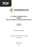 Cuadro Comparativo Macro, Meso y Micro